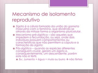 Mecanismo de isolamento
reprodutivo
 Zigoto é a célula formada da união do gameta
masculino com o feminino, que dividindo-se
através da mitose forma o organismo pluricelular.
 Mecanismo pré-zigótico – são aqueles que
impedem a fecundação, ou seja, onde dois
indivíduos possuem comportamentos ou
características que não permitem a cópula e a
formação do zigoto;
 Pós-zigótico – quando as espécies diferentes
conseguem cruzar, geram um zigoto e,
consequentemente, um descendente, porém
este não é fértil.
 Ex.: Jumento + égua = mula ou burro  não férteis
 