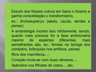  Estudo dos fósseis coloca em baixo o fixismo e
ganha consolidação o transformismo,
 ex.: Archaeopteryx (alado, cauda, dentes e
penas);
 A embriologia mostra isso nitidamente, sendo,
quanto mais precoce for a fase embrionária
mesmo de espécies diferentes, mais
semelhantes são, ex.: fendas na faringe dos
cordados, brânquias nos anfíbios, peixes;
• Rins dos mamíferos...;
• Coração inicia-se com duas câmaras...;
• Apêndice nos filhotes de cobra..., etc.
 
