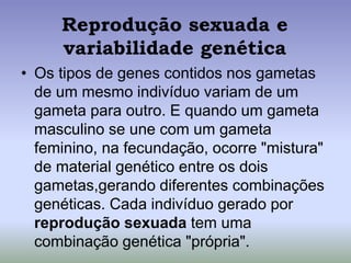 Reprodução sexuada e
variabilidade genética
• Os tipos de genes contidos nos gametas
de um mesmo indivíduo variam de um
gameta para outro. E quando um gameta
masculino se une com um gameta
feminino, na fecundação, ocorre "mistura"
de material genético entre os dois
gametas,gerando diferentes combinações
genéticas. Cada indivíduo gerado por
reprodução sexuada tem uma
combinação genética "própria".
 