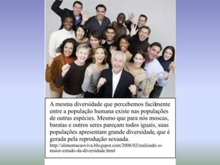 Evolução das espécies