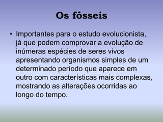 Os fósseis
• Importantes para o estudo evolucionista,
já que podem comprovar a evolução de
inúmeras espécies de seres vivos
apresentando organismos simples de um
determinado período que aparece em
outro com características mais complexas,
mostrando as alterações ocorridas ao
longo do tempo.
 