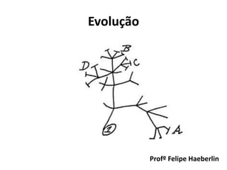 Evolução
Profº Felipe Haeberlin
 