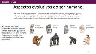 Aspectos evolutivos do ser humano
Os seres humanos pertencem à ordem Primata, assim como lêmures, orangotangos, gorilas,
chimpanzés, bonobos, entre outros. Uma das características dessa ordem é apresentar o
polegar em oposição aos demais dedos das mãos. É o que chamamos de polegar opositor.
Nos últimos anos, foram
descobertos fósseis de espécies
extintas de primatas que seriam
mais próximas dos seres humanos
do que os chimpanzés. Essas
espécies são conhecidas como
hominíneos.
10
 