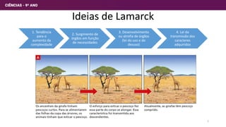 Ideias de Lamarck
1. Tendência
para o
aumento da
complexidade
2. Surgimento de
órgãos em função
de necessidades
3. Desenvolvimento
ou atrofia de órgãos
(lei do uso e do
desuso)
4. Lei da
transmissão dos
caracteres
adquiridos
2
 
