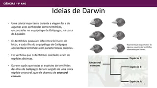Ideias de Darwin
• Uma coleta importante durante a viagem foi a de
algumas aves conhecidas como tentilhões,
encontradas no arquipélago de Galápagos, na costa
do Equador.
• Os tentilhões possuíam diferentes formatos de
bicos, e cada ilha do arquipélago de Galápagos
apresentava tentilhões com características próprias.
• Ele verificou que os tentilhões coletados eram de
espécies distintas.
• Darwin supôs que todas as espécies de tentilhões
das ilhas de Galápagos teriam surgido de uma única
espécie ancestral, que ele chamou de ancestral
comum.
Representação esquemática de
algumas espécies de tentilhões
observadas por Darwin.
4
 