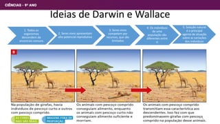 Ideias de Darwin e Wallace
1. Todos os
organismos
descendem de
ancestrais comuns
2. Seres vivos apresentam
alto potencial reprodutivo
3. Seres vivos
competem por
recursos, que são
limitados
4. Os indivíduos
de uma
população são
diferentes entre
si
5. Seleção natural
é o principal
agente de atuação
sobre as variações
dos indivíduos
5
 