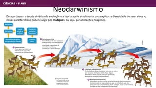 Neodarwinismo
De acordo com a teoria sintética da evolução – a teoria aceita atualmente para explicar a diversidade de seres vivos –,
novas características podem surgir por mutações, ou seja, por alterações nos genes.
7
 