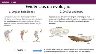Evidências da evolução
Muitas vezes, espécies distintas apresentam
estruturas semelhantes. Dizemos que tais estruturas
são homólogas quando se desenvolveram de um
ancestral comum, mesmo que elas tenham funções
diferentes.
Órgãos que não têm a mesma origem embriológica, mas
apresentam funções semelhantes, como as asas de uma ave e
de um inseto. Essas estruturas são chamadas de órgãos
análogos.
1. Órgãos homólogos 2. Órgãos análogos
3. Fósseis A existência de fósseis é o mais forte indício de que o nosso planeta
já foi habitado por seres que não existem mais nos dias de hoje.
8
 