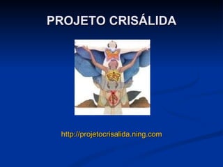 PROJETO CRISÁLIDA http://projetocrisalida.ning.com 
