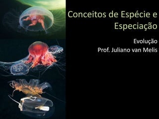 Conceitos de Espécie e
Especiação
Evolução
Prof. Juliano van Melis
 
