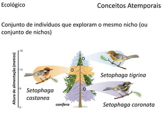 Conceitos AtemporaisEcológico
Conjunto de indivíduos que exploram o mesmo nicho (ou
conjunto de nichos)
conífera
Setophaga tigrina
Setophaga coronata
Setophaga
castanea
Alturadealimentação(metros)
 