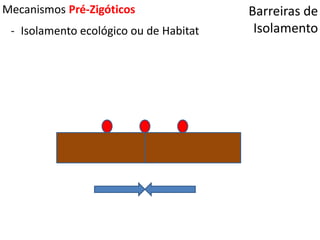 Barreiras de
Isolamento
Mecanismos Pré-Zigóticos
- Isolamento ecológico ou de Habitat
 