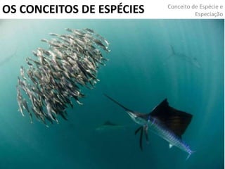OS CONCEITOS DE ESPÉCIES Conceito de Espécie e
Especiação
 