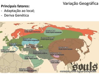 Variação Geográfica
Principais fatores:
- Adaptação ao local;
- Deriva Genética
 