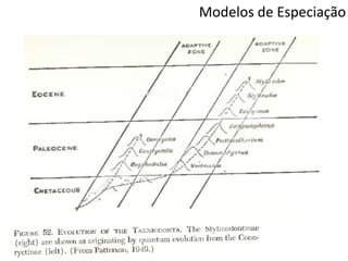 Modelos de Especiação
 