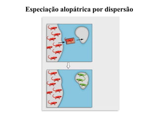 Especiação alopátrica por dispersão
 