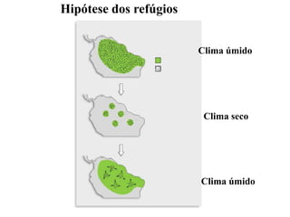 Hipótese dos refúgios
Clima úmido
Clima seco
Clima úmido
 