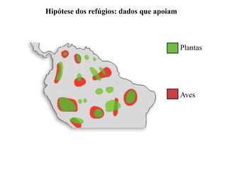 Plantas
Aves
Hipótese dos refúgios: dados que apoiam
 