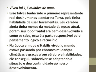 • Viveu há 1,6 milhões de anos.
• Esse talvez tenha sido o primeiro representante
real dos humanos a andar na Terra, pois tinha
habilidade de usar ferramentas. Seu cérebro
ainda tinha menos da metade de nosso atual,
porém seu lobo frontal era bem desenvolvido e
como se sabe, essa é a parte responsável pelo
pensamento lógico e raciocínio.
• Na época em que o Habilis viveu, o mundo
estava passando por enormes mudanças
climáticas e graças a seu cérebro e habilidades,
ele conseguiu sobreviver se adaptando a
situação e deu continuidade ao nosso
desenvolvimento.
 