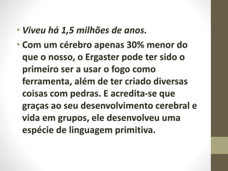 • Viveu há 1,5 milhões de anos.
• Com um cérebro apenas 30% menor do
que o nosso, o Ergaster pode ter sido o
primeiro ser a usar o fogo como
ferramenta, além de ter criado diversas
coisas com pedras. E acredita-se que
graças ao seu desenvolvimento cerebral e
vida em grupos, ele desenvolveu uma
espécie de linguagem primitiva.
 