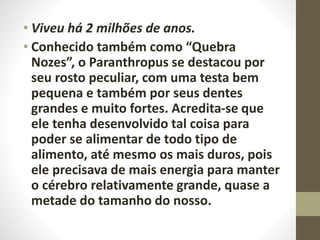 • Viveu há 2 milhões de anos.
• Conhecido também como “Quebra
Nozes”, o Paranthropus se destacou por
seu rosto peculiar, com uma testa bem
pequena e também por seus dentes
grandes e muito fortes. Acredita-se que
ele tenha desenvolvido tal coisa para
poder se alimentar de todo tipo de
alimento, até mesmo os mais duros, pois
ele precisava de mais energia para manter
o cérebro relativamente grande, quase a
metade do tamanho do nosso.
 