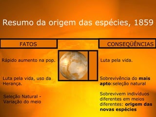 Resumo da origem das espécies, 1859

       FATOS                CONSEQÜÊNCIAS


Rápido aumento na pop.   Luta pela vida.



Luta pela vida, uso da   Sobrevivência do mais
Herança.                 apto:seleção natural

                         Sobrevivem indivíduos
Seleção Natural -
                         diferentes em meios
Variação do meio
                         diferentes: origem das
                         novas espécies
 