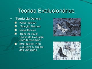 Teorias Evolucionárias Teoria de Darwin Ponto básico: Seleção Natural Importância: Base da atual Teoria da Evolução (Neodarwinismo) Erro básico: Não explicava a origem das variações. 