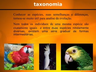 taxonomia
Conhecer as espécies, suas semelhanças e diferenças,
tornou-se muito útil para analise da evolução.
Nem todos os indivíduos de uma mesma espécie são
exatamente iguais e entre duas espécies nitidamente
diversas, existem   uma   série   gradual   de   formas
intermediárias.
 