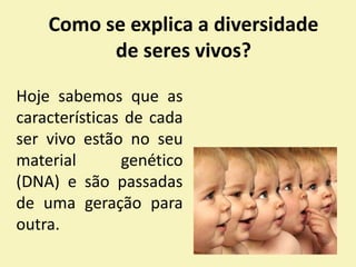 Como se explica a diversidade
de seres vivos?
Hoje sabemos que as
características de cada
ser vivo estão no seu
material genético
(DNA) e são passadas
de uma geração para
outra.
 