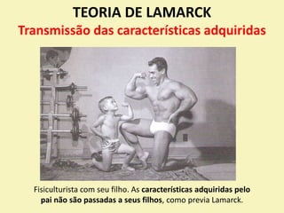 TEORIA DE LAMARCK
Transmissão das características adquiridas
Fisiculturista com seu filho. As características adquiridas pelo
pai não são passadas a seus filhos, como previa Lamarck.
 