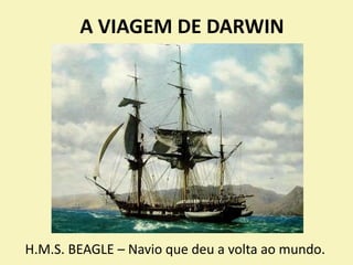 A VIAGEM DE DARWIN
H.M.S. BEAGLE – Navio que deu a volta ao mundo.
 