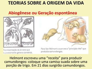 TEORIAS SOBRE A ORIGEM DA VIDA
Helmont escreveu uma “receita” para produzir
camundongos: coloque uma camisa suada sobre uma
porção de trigo. Em 21 dias surgirão camundongos.
Abiogênese ou Geração espontânea
 