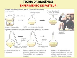 TEORIA DA BIOGÊNESE
EXPERIMENTO DE PASTEUR
 