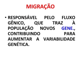 MIGRAÇÃO RESPONSÁVEL PELO FLUXO GÊNICO, QUE TRAZ À POPULAÇÃO NOVOS  GENE. , CONTRIBUINDO PARA AUMENTAR A VARIABILIDADE GENÉTICA. 