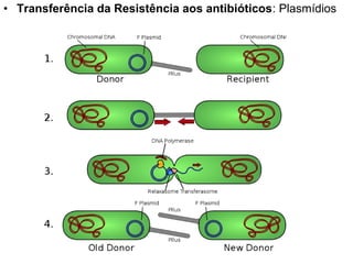 • Transferência da Resistência aos antibióticos: Plasmídios
 