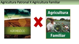 Agricultura Patronal X Agricultura Familiar
 