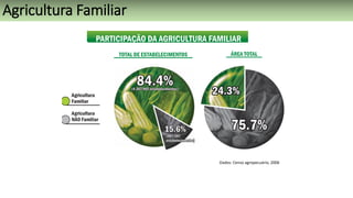 Dados: Censo agropecuário, 2006
Agricultura Familiar
 