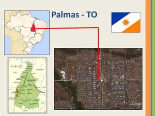 Palmas - TO
 