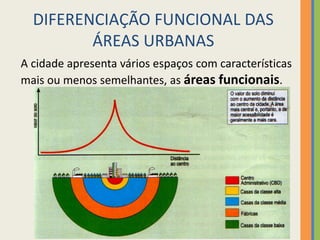 DIFERENCIAÇÃO FUNCIONAL DAS
ÁREAS URBANAS
A cidade apresenta vários espaços com características
mais ou menos semelhantes, as áreas funcionais.
 