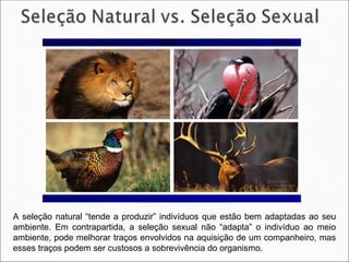 A seleção natural “tende a produzir” indivíduos que estão bem adaptadas ao seu
ambiente. Em contrapartida, a seleção sexual não “adapta” o indivíduo ao meio
ambiente, pode melhorar traços envolvidos na aquisição de um companheiro, mas
esses traços podem ser custosos a sobrevivência do organismo.
 