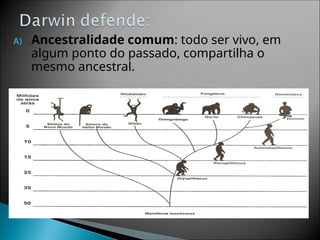 A) Ancestralidade comum: todo ser vivo, em
algum ponto do passado, compartilha o
mesmo ancestral.
 