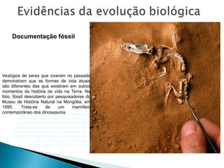 Vestígios de seres que viveram no passado
demonstram que as formas de vida atuais
são diferentes das que existiram em outros
momentos da história da vida na Terra. Na
foto, fóssil descoberto por pesquisadores do
Museu de História Natural na Mongólia, em
1995. Trata-se de um mamífero
contemporâneo dos dinossauros.
Documentação fóssil
LOUIE
PSIHOYOS/CORBIS/LATINSTOCK
Vestígios de seres que viveram no passado
demonstram que as formas de vida atuais
são diferentes das que existiram em outros
momentos da história da vida na Terra. Na
foto, fóssil descoberto por pesquisadores do
Museu de História Natural na Mongólia, em
1995. Trata-se de um mamífero
contemporâneo dos dinossauros.
Documentação fóssil
 