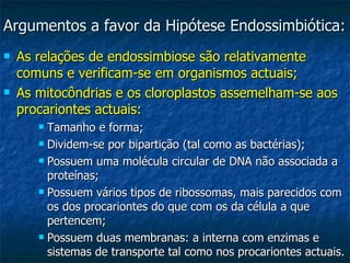 Argumentos a favor da Hipótese Endossimbiótica: As relações de endossimbiose são relativamente comuns e verificam-se em organismos actuais; As mitocôndrias e os cloroplastos assemelham-se aos procariontes actuais: Tamanho e forma; Dividem-se por bipartição (tal como as bactérias); Possuem uma molécula circular de DNA não associada a proteínas; Possuem vários tipos de ribossomas, mais parecidos com os dos procariontes do que com os da célula a que pertencem; Possuem duas membranas: a interna com enzimas e sistemas de transporte tal como nos procariontes actuais. 