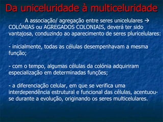 Da uniceluridade à multiceluridade A associação/ agregação entre seres unicelulares    COLÓNIAS ou AGREGADOS COLONIAIS, deverá ter sido vantajosa, conduzindo ao aparecimento de seres pluricelulares: - inicialmente, todas as células desempenhavam a mesma função; - com o tempo, algumas células da colónia adquiriram especialização em determinadas funções; - a diferenciação celular, em que se verifica uma interdependência estrutural e funcional das células, acentuou-se durante a evolução, originando os seres multicelulares. 