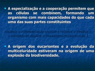 A especialização e a cooperação permitem que as células se combinem, formando um organismo com mais capacidades do que cada uma das suas partes constituintes   COLÓNIA    DIFERENCIAÇÃO CELULAR   TECIDOS    ÓRGÃOS      SISTEMAS DE ÓRGÃOS    ORGANISMO (PLURICELULAR  ) A origem dos eucariontes e a evolução da multiceluridade estiveram na origem de uma explosão da biodiversidade. 