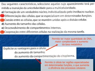 Permite ter maior quantidade de DNA, maior complexidade e aumento  da taxa metabólica Permite à célula ter regiões especializadas em determinadas funções, o que aumenta  a eficiência dos processos celulares 