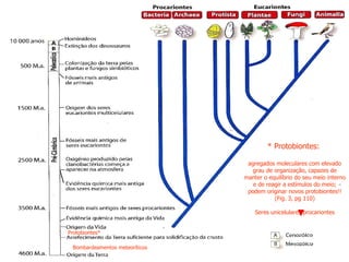 Bombardeamentos meteoríticos Protobiontes*  * Protobiontes:  agregados moleculares com elevado grau de organização, capazes de manter o equilíbrio do seu meio interno e de reagir a estímulos do meio; podem originar novos protobiontes!! (Fig. 3, pg 110) Seres unicelulares procariontes 