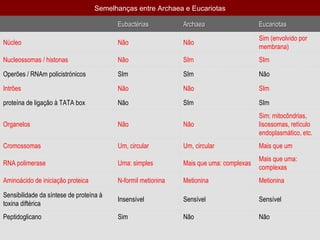   Semelhanças entre Archaea e Eucariotas   Eubactérias Archaea Eucariotas Núcleo Não Não Sim (envolvido por membrana) Nucleossomas / histonas Não SIm SIm Operões / RNAm policistrónicos SIm SIm Não Intrões Não Não SIm proteína de ligação à TATA box Não SIm SIm Organelos Não Não Sim: mitocôndrias, lisossomas, retículo endoplasmático, etc. Cromossomas Um, circular Um, circular Mais que um RNA polimerase Uma: simples Mais que uma: complexas  Mais que uma: complexas  Aminoácido de iniciação proteica N-formil metionina Metionina Metionina Sensibilidade da síntese de proteína à toxina diftérica Insensível Sensível Sensível Peptidoglicano Sim Não Não 