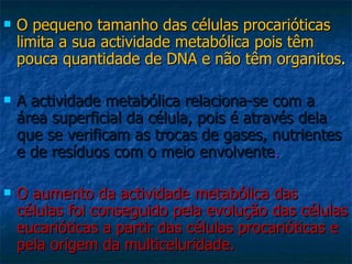 O pequeno tamanho das células procarióticas limita a sua actividade metabólica pois têm pouca quantidade de DNA e não têm organitos . A actividade metabólica relaciona-se com a área superficial da célula, pois é através dela que se verificam as trocas de gases, nutrientes e de resíduos com o meio envolvente . O aumento da actividade metabólica das células foi conseguido pela evolução das células eucarióticas a partir das células procarióticas e pela origem da multiceluridade. 