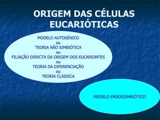 ORIGEM DAS CÉLULAS EUCARIÓTICAS MODELO AUTOGÉNICO ou TEORIA NÃO SIMBIÓTICA ou FILIAÇÃO DIRECTA DA ORIGEM DOS EUCARIONTES ou TEORIA DA DIFERENCIAÇÃO ou TEORIA CLÁSSICA MODELO ENDOSSIMBIÓTICO 